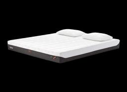 Tempur Pro Mattress