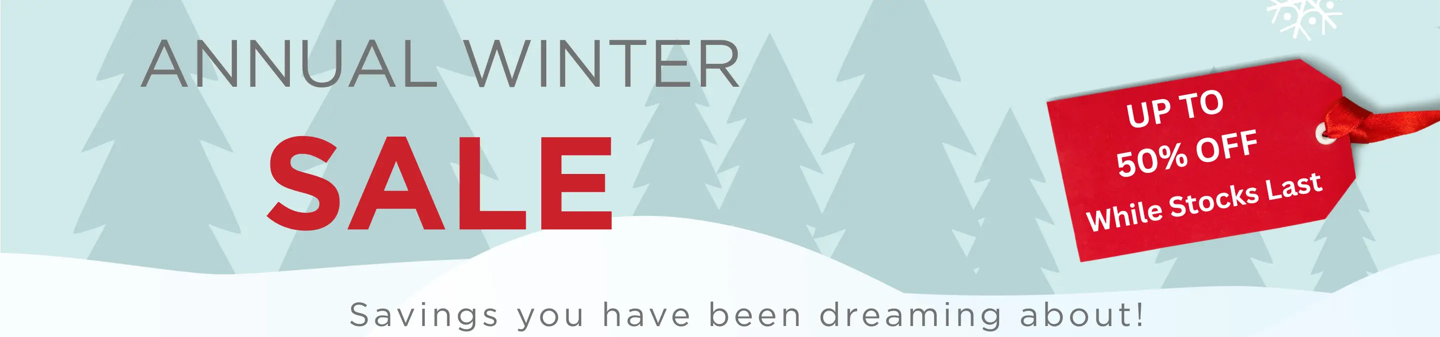 Annual Winter Sale